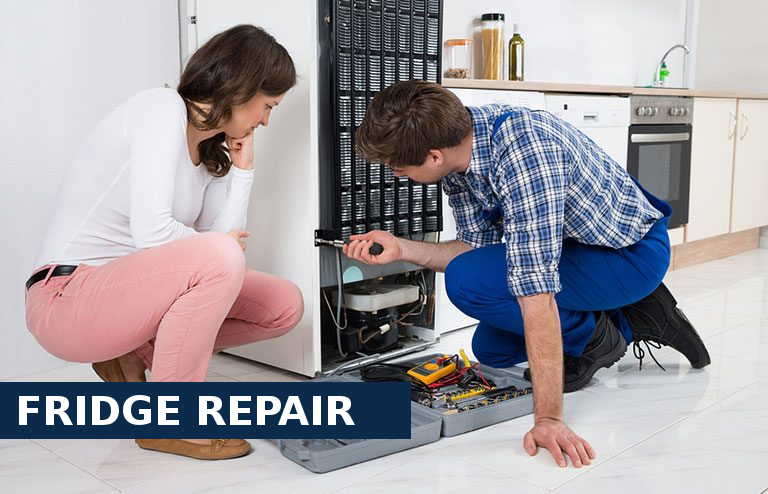 Fridge Repair Norbury